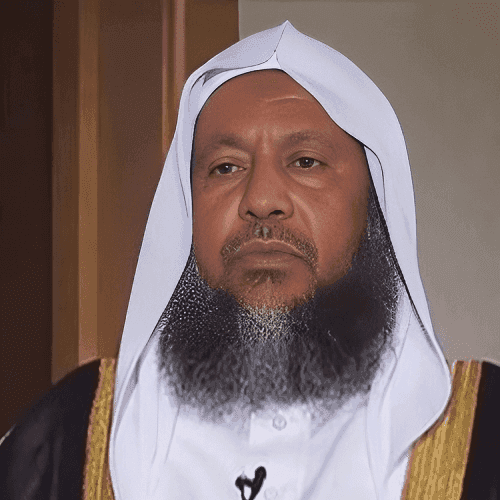 Mohamed Ayoub
